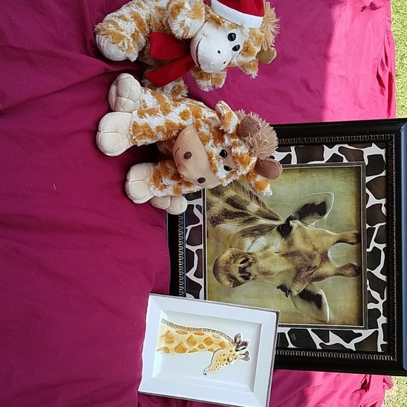 Gariffe bundle - Picture 2 of 4